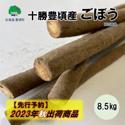 2023年秋以降出荷(先行受付)十勝豊頃産 植村農場のごぼう8.5kg[No.5891-0489]