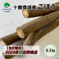 十勝豊頃産 植村農場のごぼう8.5kg 2024年春以降出荷(先行受付)[No.58910600]