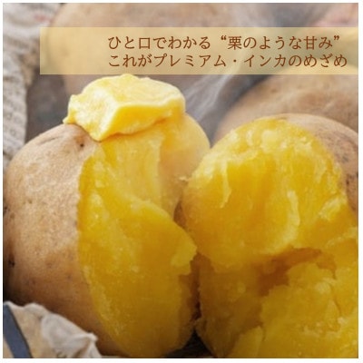 【先行受付】十勝豊頃町産 プレミアムインカのめざめ 7kg【2025年12月中旬より順次発送】