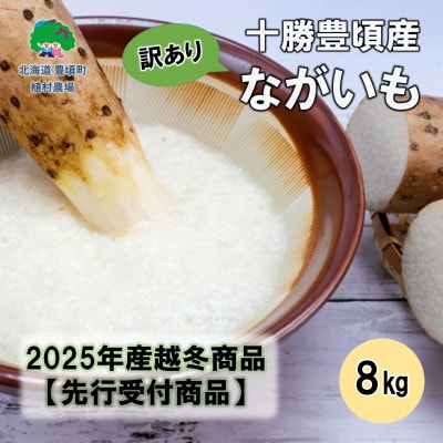 【訳あり】十勝豊頃産 ながいも8.0kg【2026年春出荷】(先行受付)【植村農場】