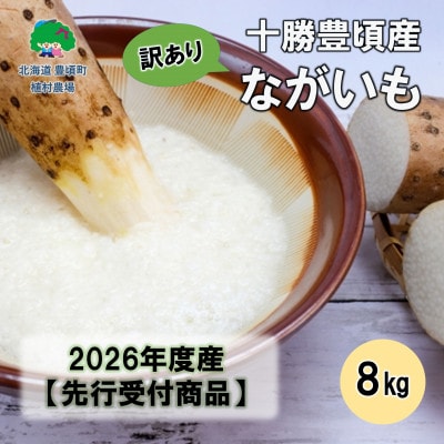 �y�󂠂�z�\���L���Y �Ȃ�����8.0kg�y2026�N���~�o�ׁz(��s��t)�y�A���_��z