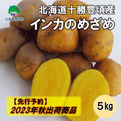 【2023年秋出荷(先行受付)】北海道十勝豊頃産 インカのめざめ5kg[No.5891-0505]