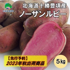 【2023年秋出荷(先行受付)】北海道十勝豊頃産 ノーザンルビー5kg[No.5891-0511]