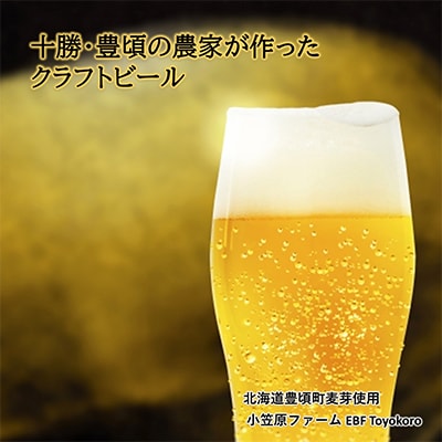 【毎月定期便】クラフトビール330ml×4本・麦茶7包×4袋セット【6回定期便】457全6回