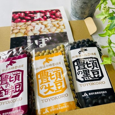 金時豆150g・黒豆150g・大豆150g レシピ付き [No.5891-0550]