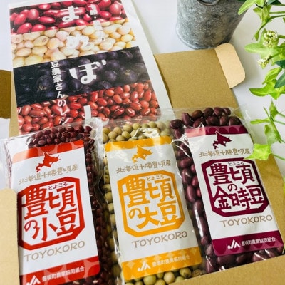 小豆200g・金時豆150g・大豆150gレシピ付き [No.5891-0549]