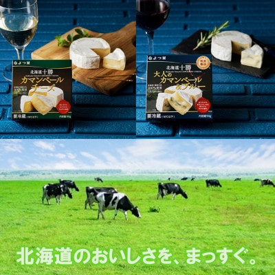 北海道よつ葉 チーズの詰合せE[No.5891-0722]