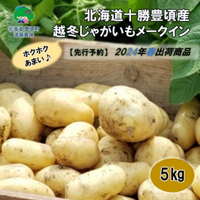 十勝産じゃがいも メークイン LMサイズ 10kg箱