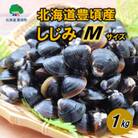 北海道豊頃産 しじみ　M サイズ 1kg[北海山]
