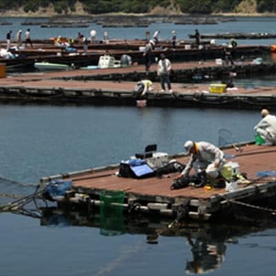 海上釣堀「一般・イカダコース」(6時間釣り放題)
