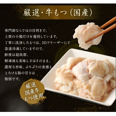 博多もつ鍋 2～3人前×4セット(醤油×2/味噌×2)【伊豆丸商店】_HA0224