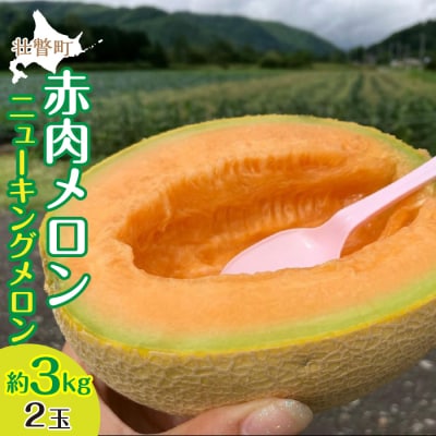<2025年7月下旬よりお届け>赤肉メロン(ニューキングメロン)2玉 約3kg SBTN003