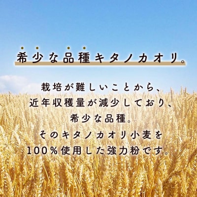 東神楽町産小麦粉で作るクッキー手作りセットとひがしかぐらジャム2本(ハスカップブルーベリー)