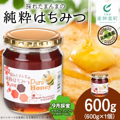 東神楽産採れたまんまの純粋はちみつ 600g1個【9月採蜜】