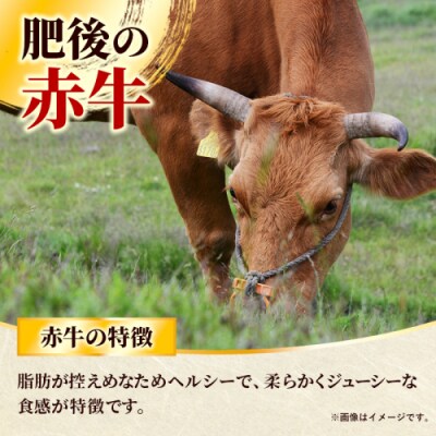 熊本県産　肥後の赤牛　ロースステーキ500g