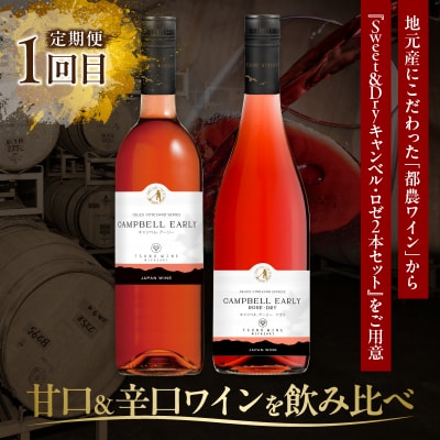 ≪定期便≫＼1か月に2回お届け!!/都農ワイン×ロースステーキ★最強コンビ_T999-0041