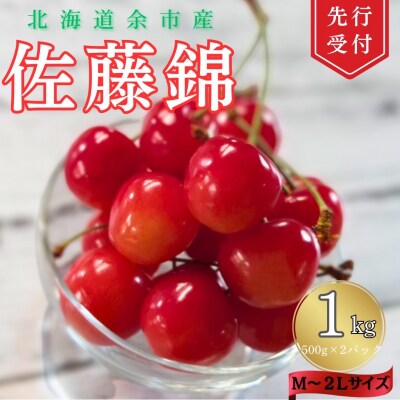 【先行受付】<北海道余市産>さくらんぼ「佐藤錦」(M～2Lサイズバラ詰め)_Y103-0022
