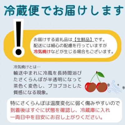 【先行受付】<北海道余市産>さくらんぼ「佐藤錦」(M～2Lサイズバラ詰め)_Y103-0022
