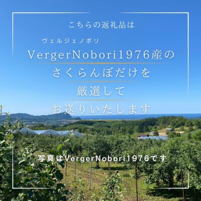 【先行受付】<北海道余市産>さくらんぼ「佐藤錦」(M～2Lサイズバラ詰め)_Y103-0022