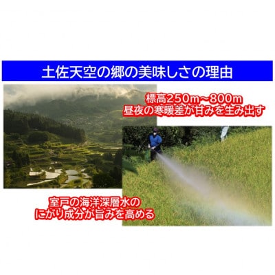 ★令和4年産★　本山町の棚田で育てられた　土佐天空の郷　ヒノヒカリ10kg