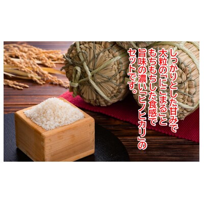 ★令和5年産★本山町の棚田で育てられた 棚田米 土佐天空の郷 各5kg食べ比べセット