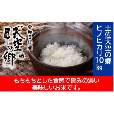 ★令和5年産★ 本山町の棚田で育てられた 棚田米　土佐天空の郷　ヒノヒカリ10kg