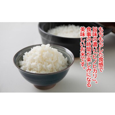 ★令和5年産★ 本山町の棚田で育てられた 棚田米　土佐天空の郷　ヒノヒカリ10kg