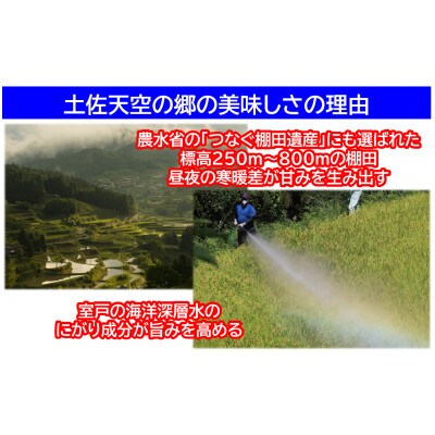 ★令和6年産★本山町の棚田で育てられた棚田米　土佐天空の郷ヒノヒカリ　5kg