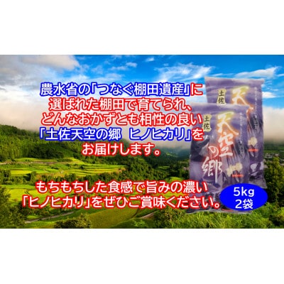★令和6年産★本山町の棚田で育てられた棚田米　土佐天空の郷　ヒノヒカリ10kg