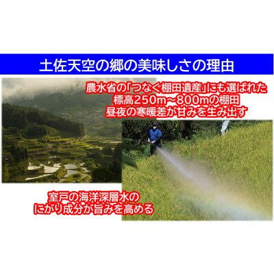 ★令和6年産★本山町の棚田で育てられた棚田米　土佐天空の郷　ヒノヒカリ10kg