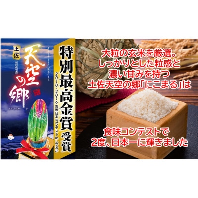 ★令和6年産★本山町の棚田で育てられた棚田米　土佐天空の郷　にこまる　5kg