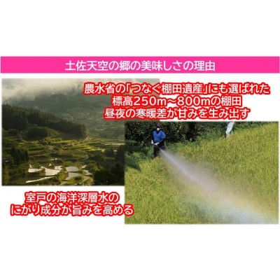 ★令和6年産★本山町の棚田で育てられた棚田米　土佐天空の郷　にこまる　5kg