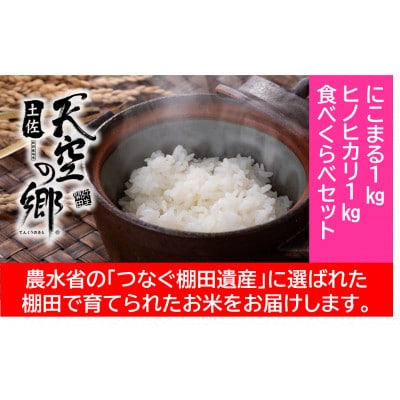 ★令和6年産★本山町の棚田で育てられた棚田米　土佐天空の郷　1kg食べ比べセット
