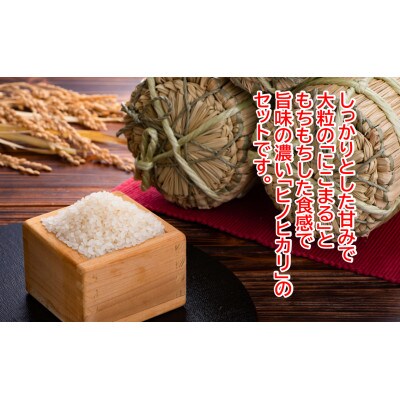 ★令和6年産★本山町の棚田で育てられた棚田米　土佐天空の郷　1kg食べ比べセット