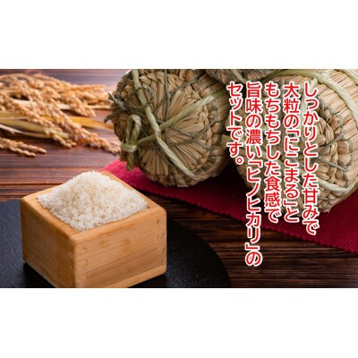 ★令和6年産★本山町の棚田で育てられた棚田米　土佐天空の郷各2kg食べ比べセット