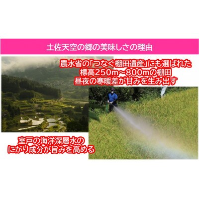 ★令和6年産★本山町の棚田で育てられた棚田米　土佐天空の郷各2kg食べ比べセット