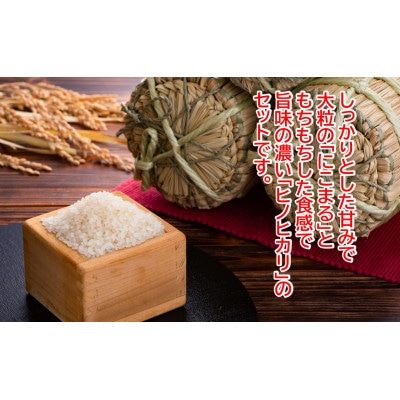 ★令和6年産★本山町の棚田で育てられた棚田米　土佐天空の郷　各5kg食べ比べセット