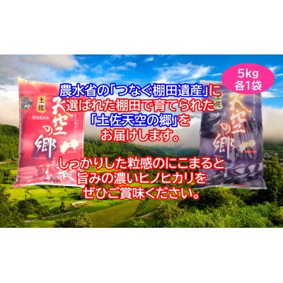 ★令和6年産★本山町の棚田で育てられた棚田米　土佐天空の郷　各5kg食べ比べセット