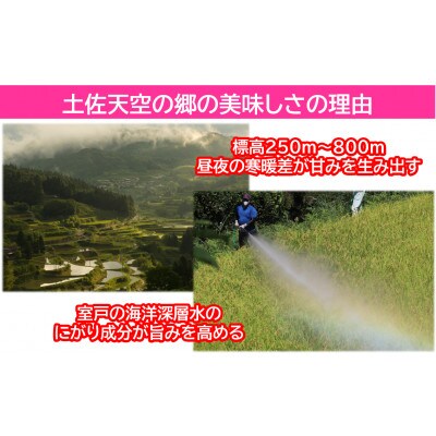 ★令和6年産★本山町の棚田で育てられた棚田米　土佐天空の郷　各5kg食べ比べセット
