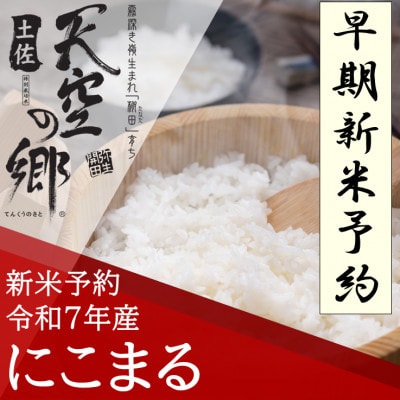 早期予約　★7年産新米★　本山町の棚田で育てられた天空の郷　にこまる5kg