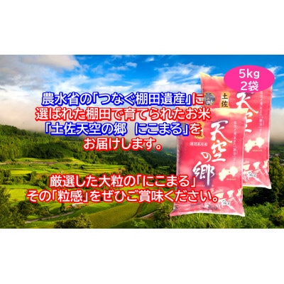 早期予約　★令和7年産新米★　土佐天空の郷　にこまる10kg