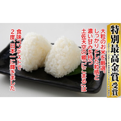 早期予約　★令和7年産新米★　土佐天空の郷　にこまる10kg