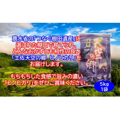 ★令和8年産★本山町の棚田で育てられた棚田米 土佐天空の郷 ヒノヒカリ5kg