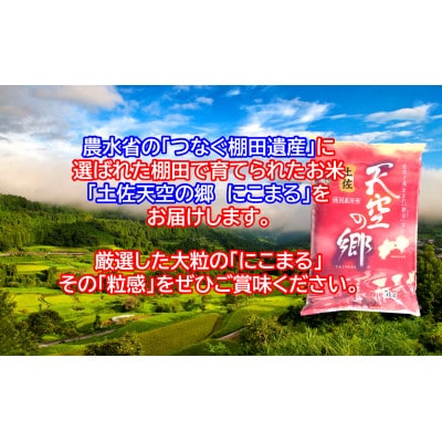 ★令和8年産★本山町の棚田で育てられた棚田米　土佐天空の郷 にこまる5kg