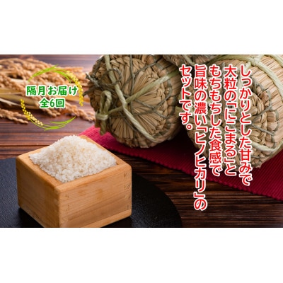【2ヵ月毎定期便】土佐天空の郷 2kg食べ比べセット定期便 隔月お届け 全6回