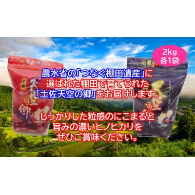【2ヵ月毎定期便】土佐天空の郷 2kg食べ比べセット定期便 隔月お届け 全6回