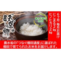 【毎月定期便】土佐天空の郷 2kg食べ比べセット定期便 毎月お届け 全6回