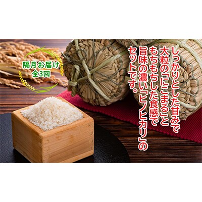 【2ヵ月毎定期便】土佐天空の郷 5kg食べ比べセット定期便 隔月お届け 全3回