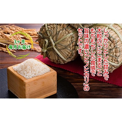 【毎月定期便】土佐天空の郷 5kg食べ比べセット定期便 毎月お届け 全3回