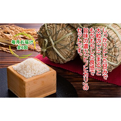 【毎月定期便】土佐天空の郷5kg食べ比べセット定期便 毎月お届け 全6回